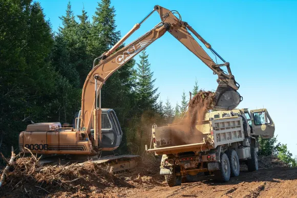 Casino Loot Bet Suporte